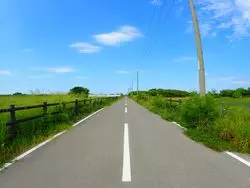 【移住経験者が伝える】のどかな牛の島！沖縄 黒島オススメスポット