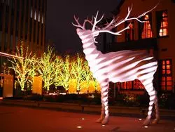 まだあんまり注目されていない？！東京の穴場イルミネーション！