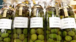 【東京・浜松町】瀬戸内の魅力がぎゅっ！「ポンテせとうみ」