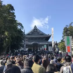 【2026】初詣は豊川稲荷で参拝＆食べ歩き！きつね像も要チェック