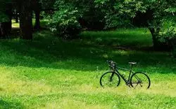 【代々木公園】都会にある公園でサイクリング♪休日を満喫しよう！