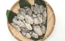 おしゃれな下北沢で美味しい牡蠣はいかがですか？筆者厳選9店◎