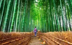 【2025年】京都で浴衣をレンタル！夏を楽しめる浴衣専門店6選