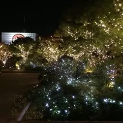 二子玉川で楽しむ！クリスマスイルミネーション♪