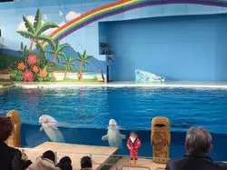 横浜の絶対楽しいテーマパーク・動物園はここ！おすすめ4選♡