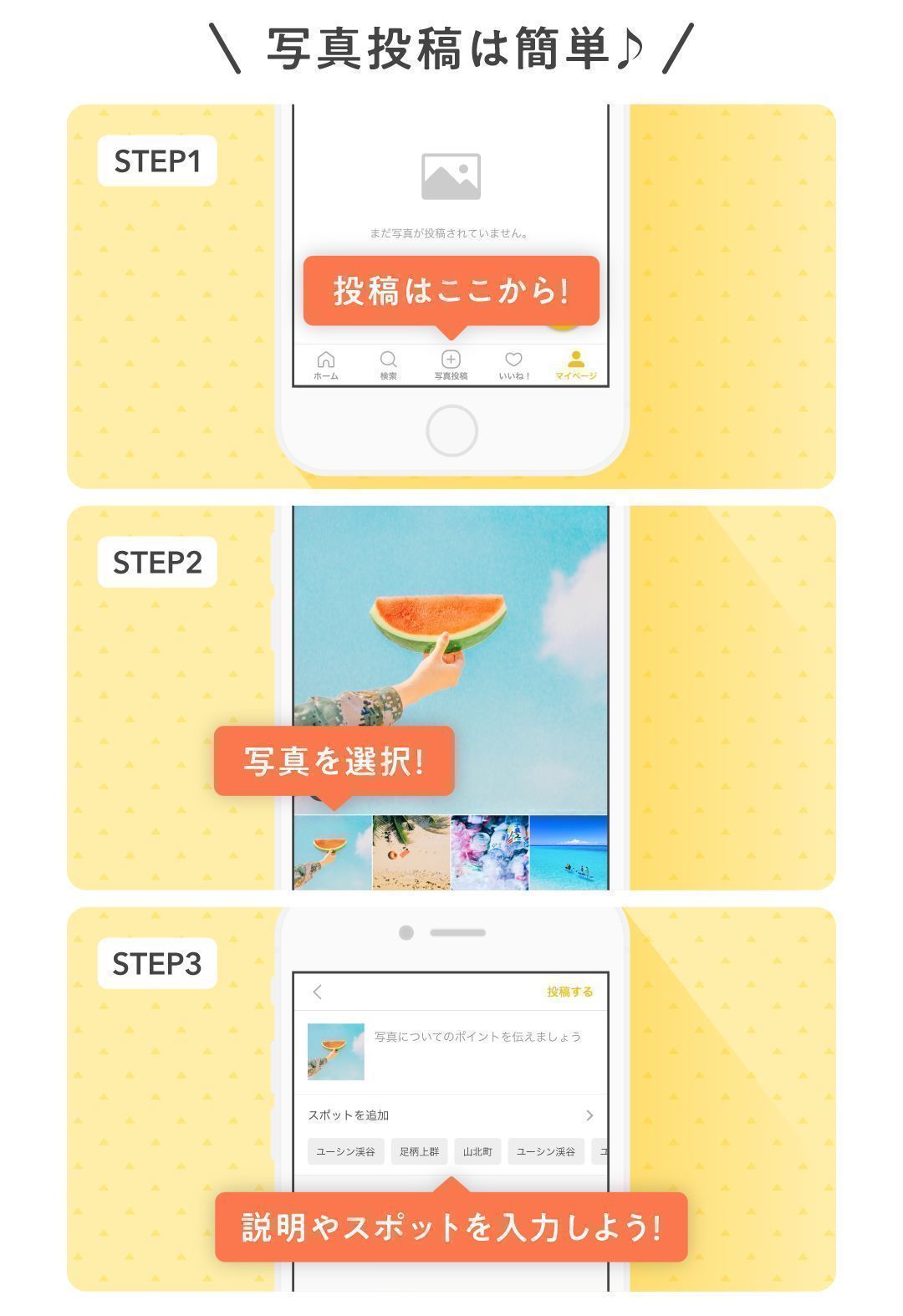 の画像