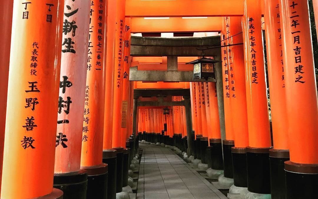 の画像