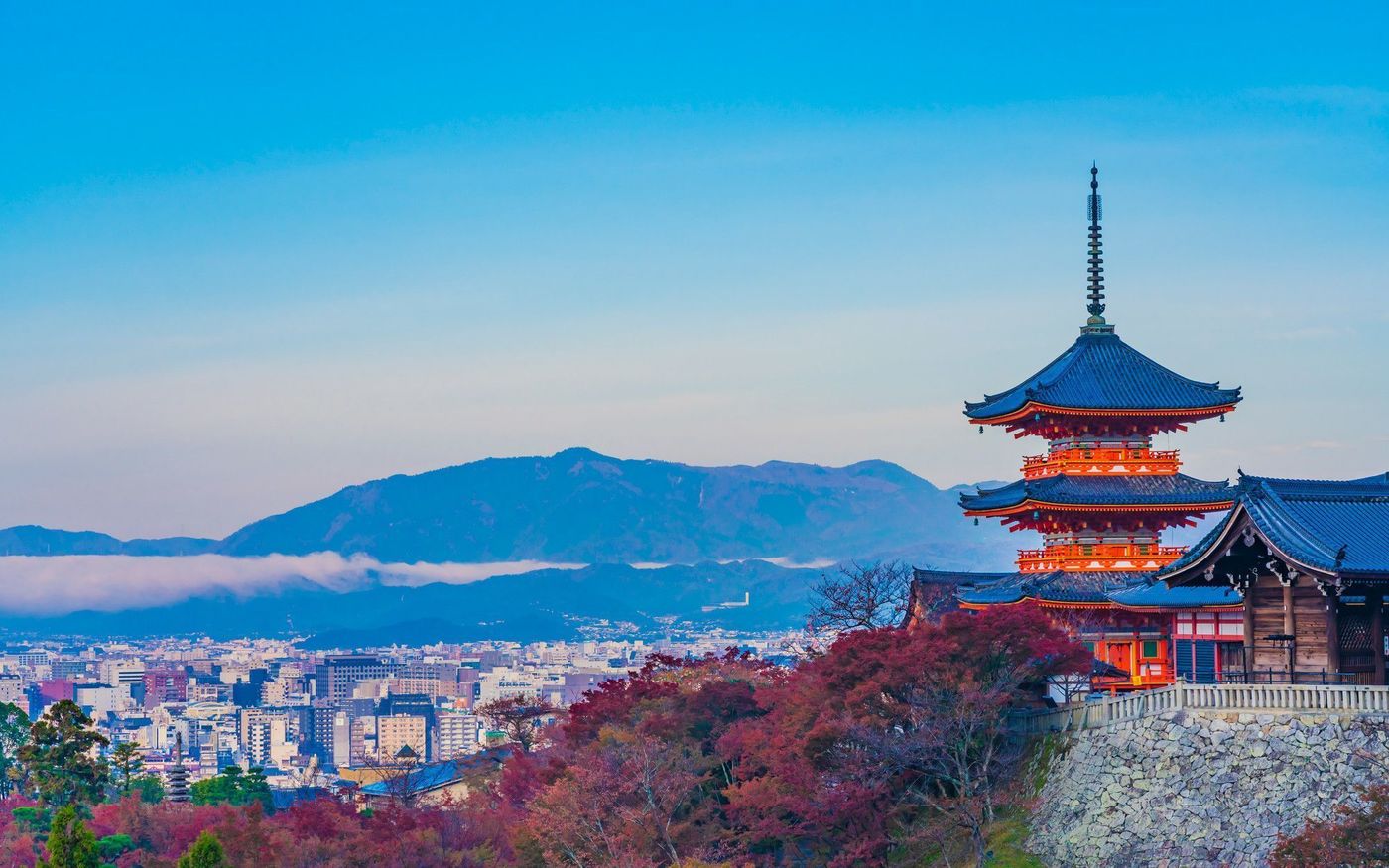 の画像