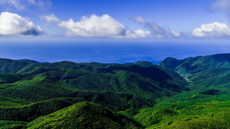 新 世界遺産となった奄美大島 その登録経緯から息を呑む絶景まで徹底解剖 Aumo アウモ
