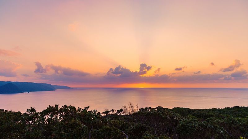 新 世界遺産となった奄美大島 その登録経緯から息を呑む絶景まで徹底解剖 Aumo アウモ