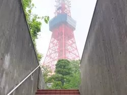 【東京】一度は行きたい！東京の二大タワーを見に行こう