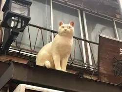猫好き要チェック！絶対行きたい谷根千の猫づくしスポット6選