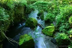 【北海道×絶景】あなたの知らない北の大地。苔モフワールド5選