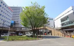 三鷹の居酒屋を個室で過ごしたい方必見！宴会やデートにおすすめ6選