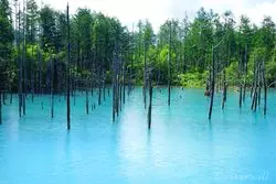 【北海道×絶景】北の大地に魅せられて☆美しき水の湖沼たち5選