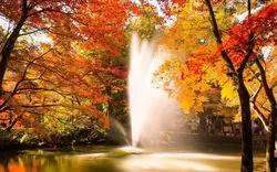 【新潟の紅葉2025】雄大な自然と楽しむ絶景の紅葉スポット6選！