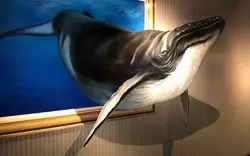 八王子で美術館巡り！不思議体験から大人のアートまで完全網羅◎
