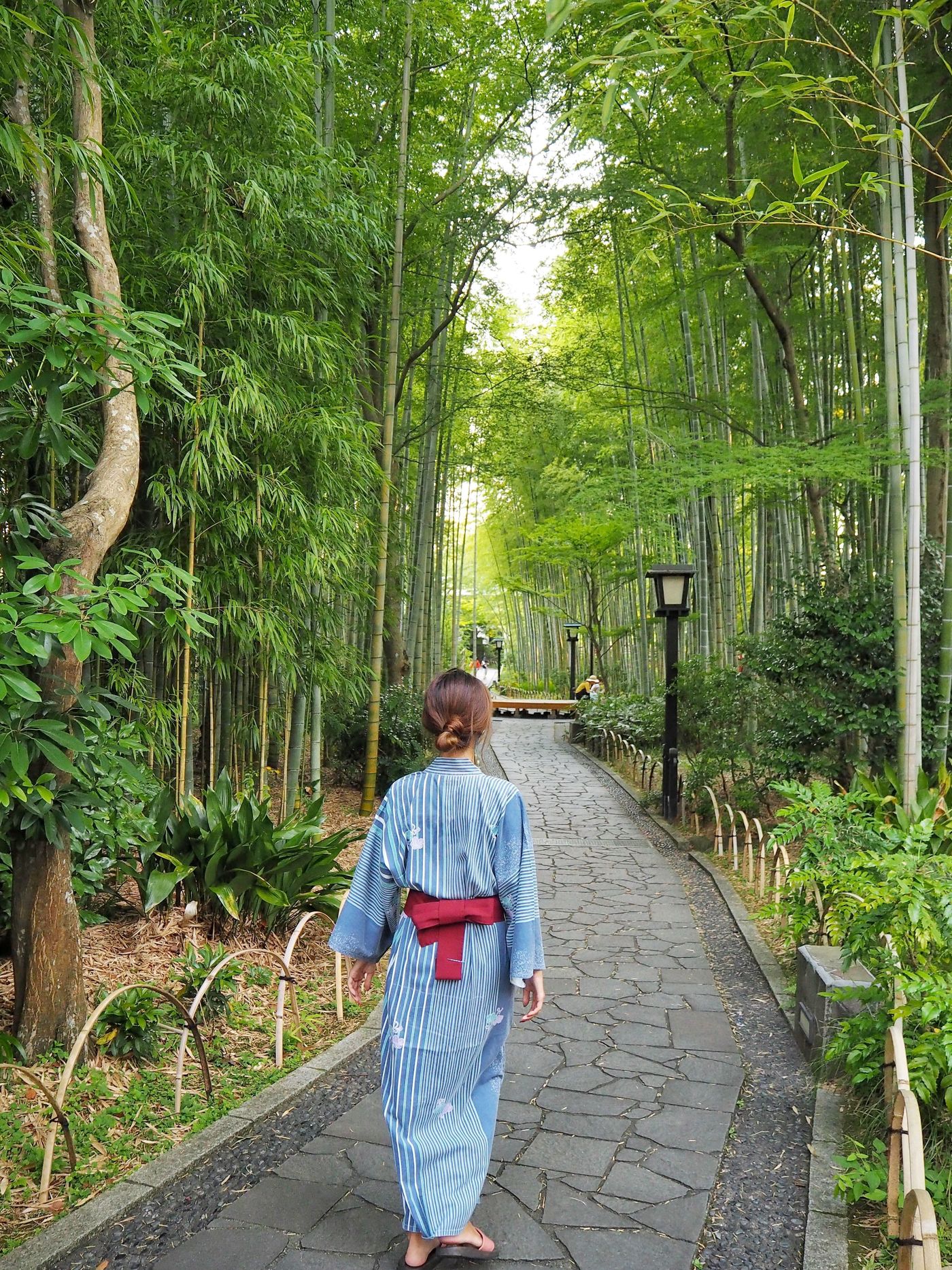 の画像