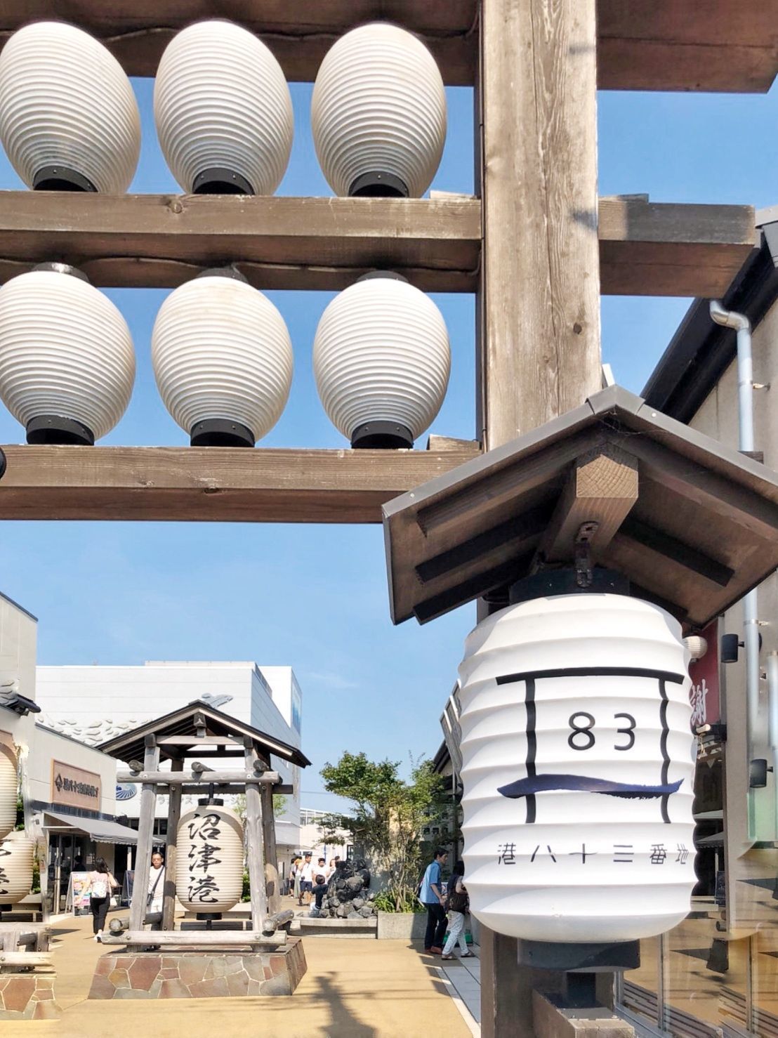 の画像