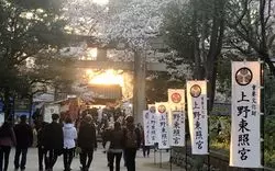東京で大人気のお花見スポット！「上野公園」での桜の楽しみ方♡