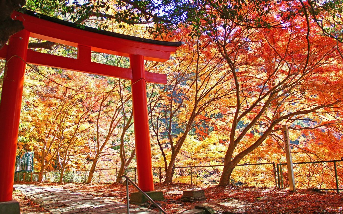 【2025年】愛知の紅葉スポット名所10選！見頃や秋のイベント情報の画像