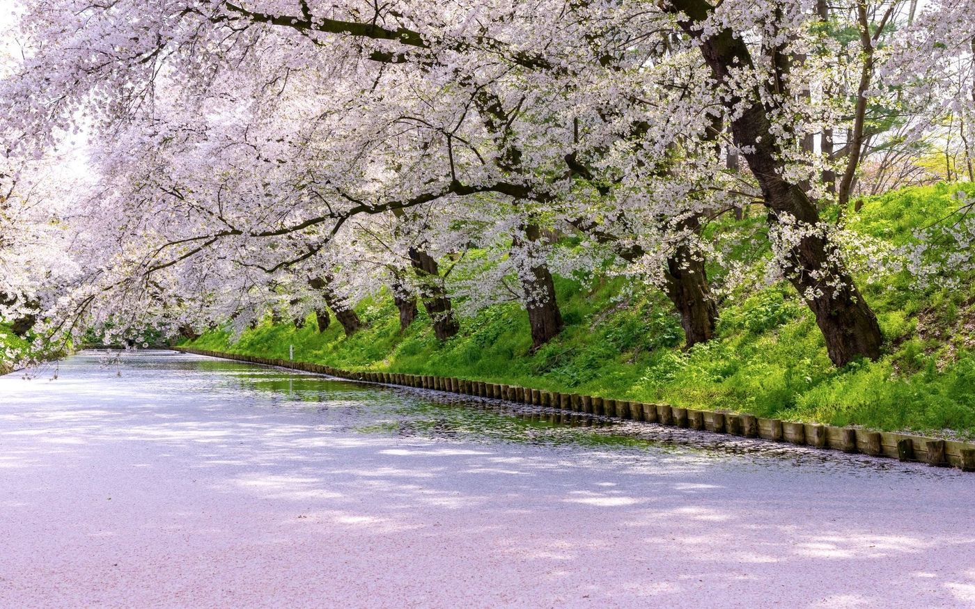東北の人気おすすめ観光スポット30選！旅行で温泉や絶景を楽しもうの画像