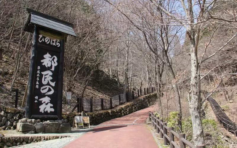 2. とちの実 1枚目