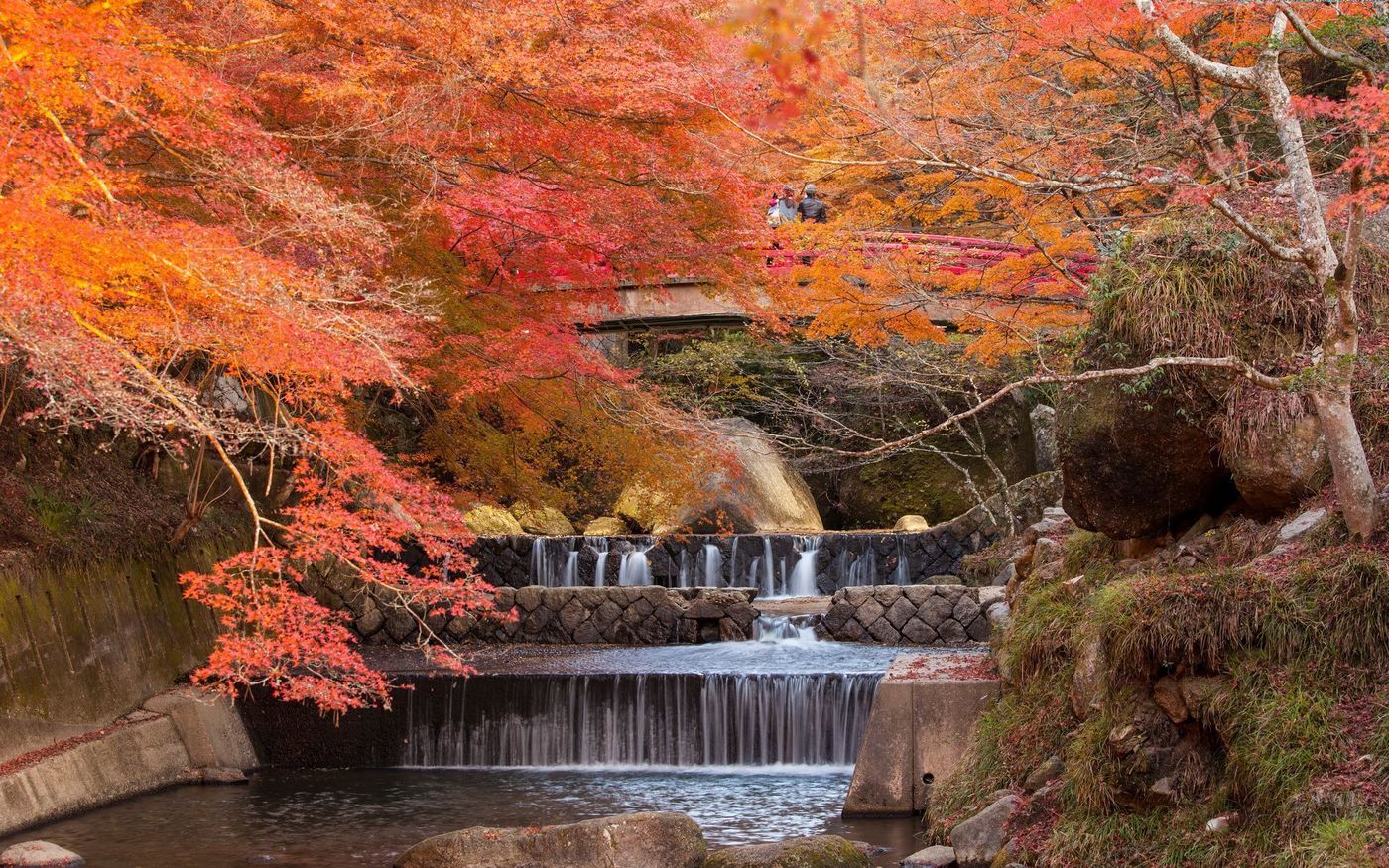 【2025年】愛知の紅葉スポット名所10選！見頃や秋のイベント情報の画像