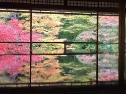 コトコト京都
