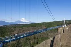 【三島】暑い夏を吹き飛ばす！筆者おすすめの三島旅5選！