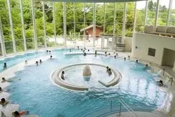 大人だけの娯楽！【豊島園庭の湯】天然温泉&バーデ　1320¥！？
