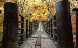 【絶景】茨城観光はアクティビティやパワースポット13選