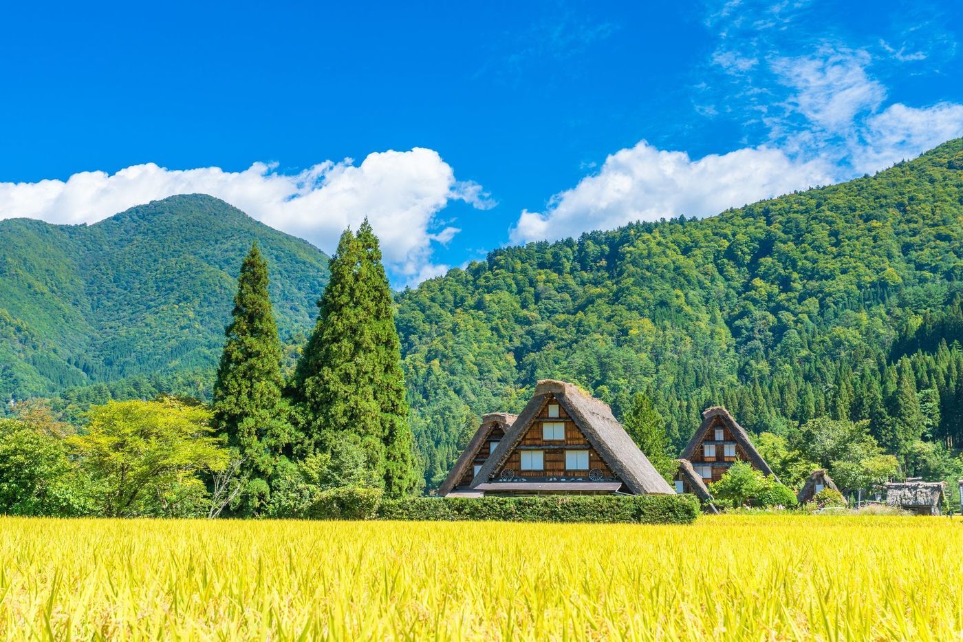 癒しの自然と昔ながらの街並み♡岐阜観光のおすすめ12選！の画像