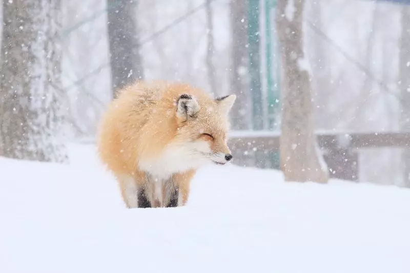 おすすめの季節は冬！ 1枚目