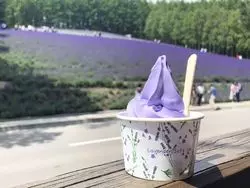 【北海道】グルメと自然を満喫！魅力がたくさん北海道の夏♪