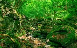 日帰り◎東京の"秘境"奥多摩のレベル別おすすめ登山コース3選！
