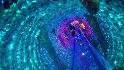 【愛知】竹島水族館だけではない！魅力のあるおすすめスポット2選♪