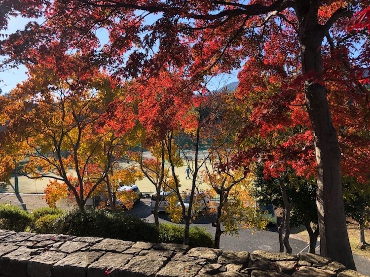 美しい茶源郷（ちゃげんきょう）を訪ねて秋を探す。の画像