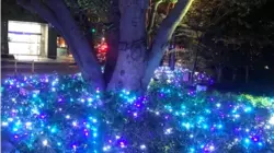 【東京・神谷町】穴場のイルミネーションスポットがアツい！
