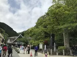 【高尾山】歴史を知ればもっと楽しくなる！東京の大自然で登山♪