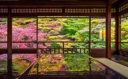 【京都】自然と和が織りなす景色をハイチーズ♪絶景を記念の1枚に！