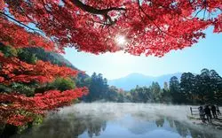 【大分の紅葉2020】名所から穴場まで訪れたい絶景スポット8選♪