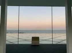 三崎まで行かない三浦半島ドライブ(11月末)