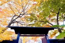 【秋田】角館へ紅葉を求めてぶらり旅
