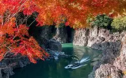 【和歌山の紅葉】名所から穴場まで巡るおすすめ絶景スポット7選♪