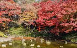 【小石川後楽園】紅葉を見ながらの庭園散策で、秋を満喫しよう♪