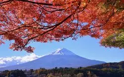 【2025】山梨県の紅葉名所8選！見頃やイベント情報も