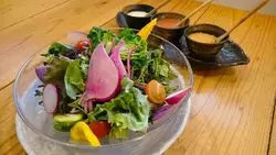 シャキシャキの旬野菜とジューシーなお肉を！【中目黒 野菜居酒屋 はな豆】で楽しもう♪