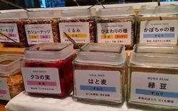 【品川の薬膳スポット】漢方ミュージアムで漢方の魅力を再発見！