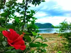 佐賀の離島がアツイ！気軽に南国気分を味わえる♪〜神集島編〜